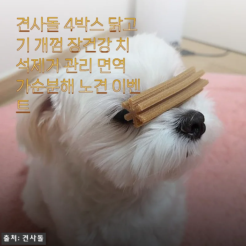 견사돌 4박스 닭고기 개껌 사용후기 - 장건강과 치석제거까지 챙기는 반려견 간식