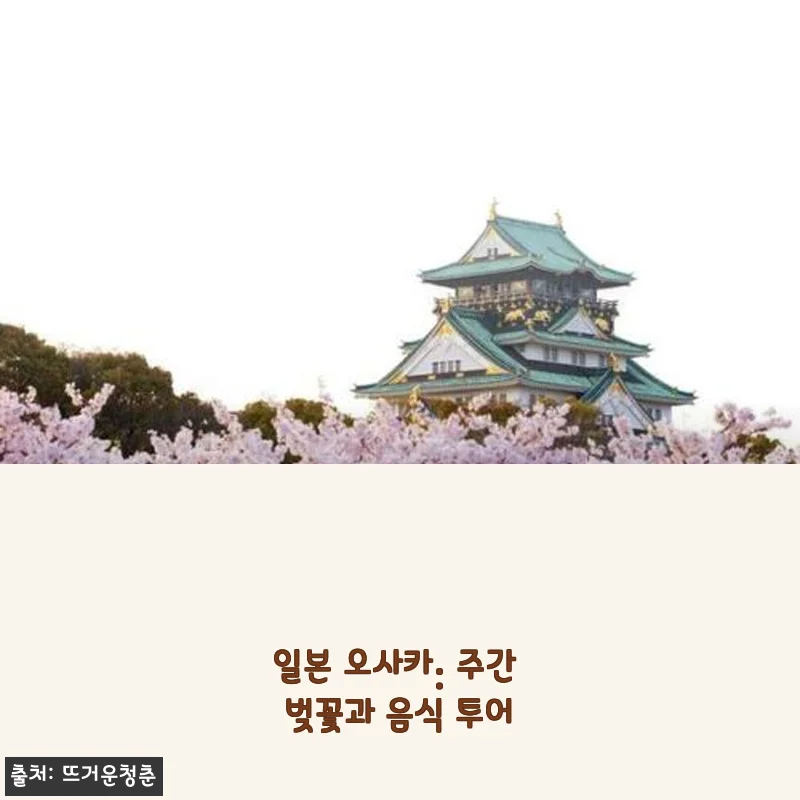 일본 오사카 주간 벚꽃과 음식 투어, 직접 경험한 생생 후기