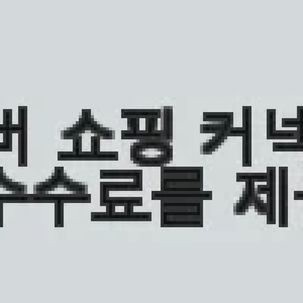 영상회의카메라 모니터 페이스 캠 사용후기: 재택근무 필수 아이템