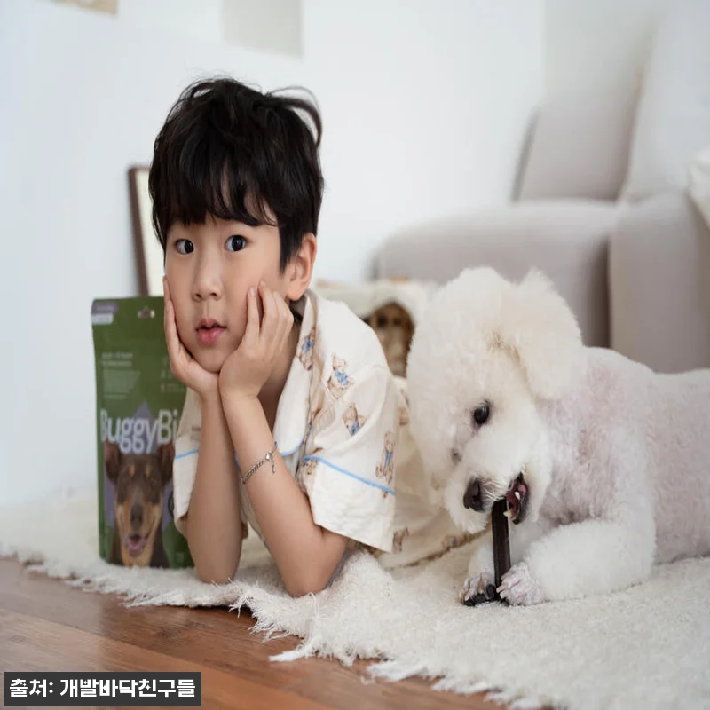 버기빅스 저알러지 덴탈껌 210g 민 관련 이미지 1