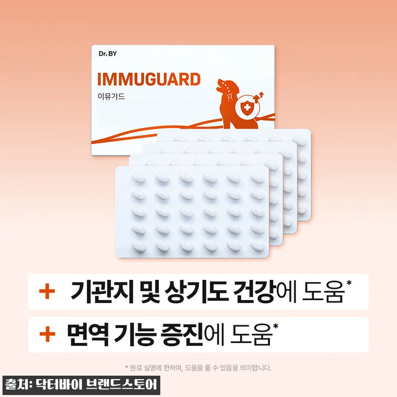 닥터바이 강아지 기관지 영양제 이뮤가 관련 이미지 1