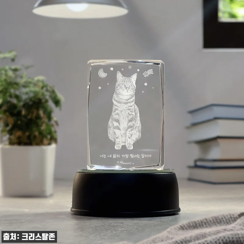 펫타스틱 가온별펫 강아지 메모리얼 스톤 사진3D각인 8 펫타스틱 가온별펫 강아지 메모리얼 스 관련 이미지 1
