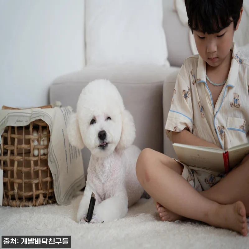 버기빅스 저알러지 덴탈껌 210g 민 관련 이미지 2