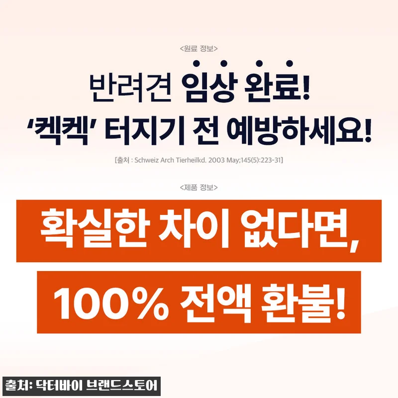닥터바이 강아지 기관지 영양제 이뮤가 관련 이미지 2