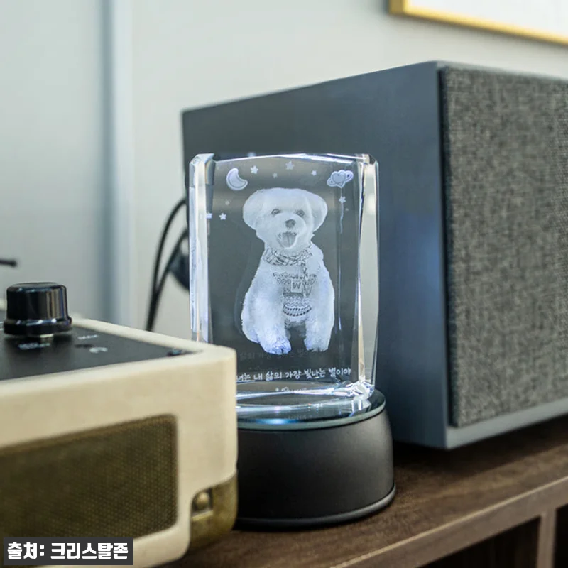 펫타스틱 가온별펫 강아지 메모리얼 스톤 사진3D각인 9 펫타스틱 가온별펫 강아지 메모리얼 스 관련 이미지 2