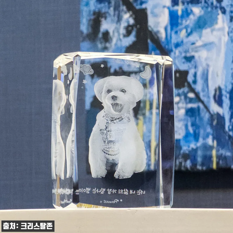 펫타스틱 가온별펫 강아지 메모리얼 스톤 사진3D각인 10 펫타스틱 가온별펫 강아지 메모리얼 스 관련 이미지 3