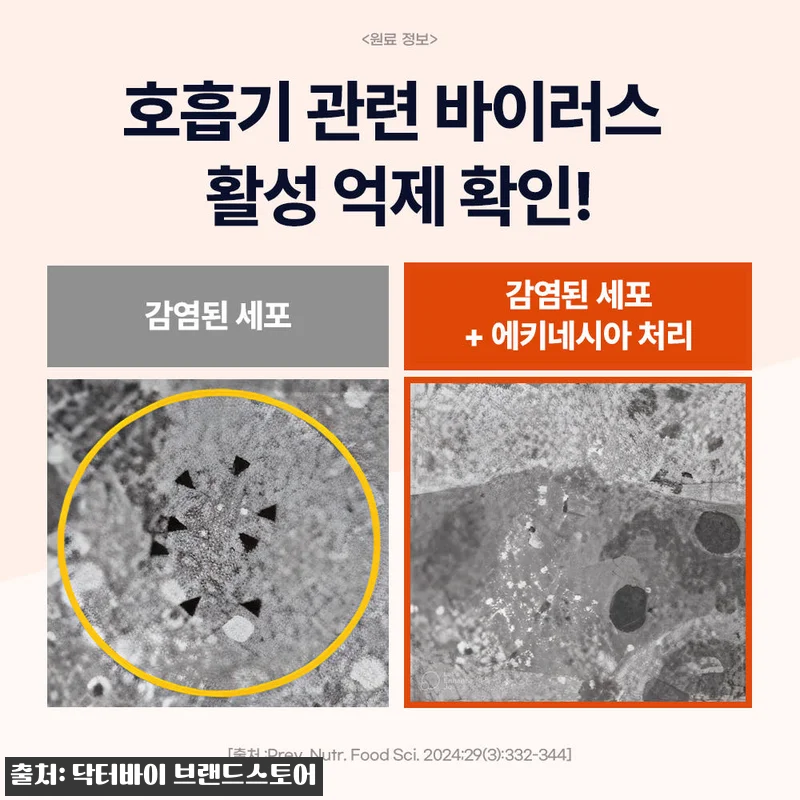 닥터바이 강아지 기관지 영양제 이뮤가 관련 이미지 4