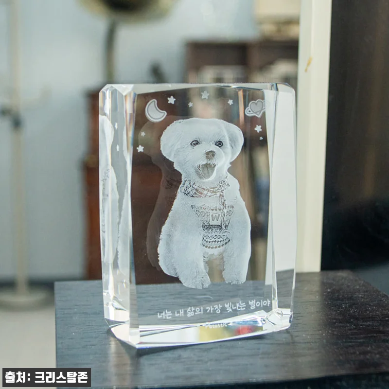 펫타스틱 가온별펫 강아지 메모리얼 스톤 사진3D각인 11 펫타스틱 가온별펫 강아지 메모리얼 스 관련 이미지 4