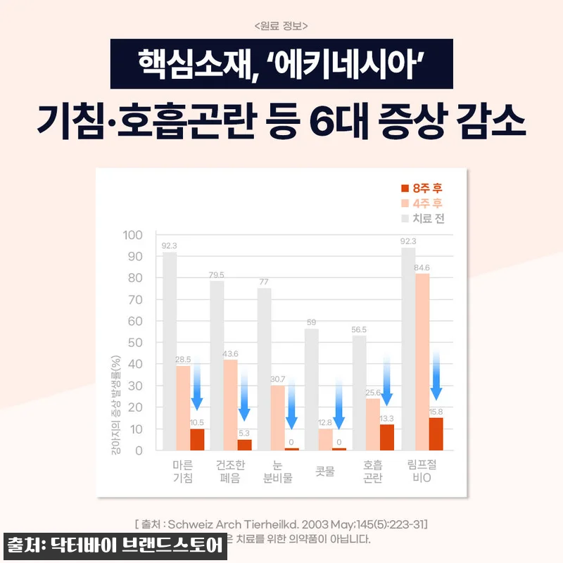 닥터바이 강아지 기관지 영양제 이뮤가 관련 이미지 5