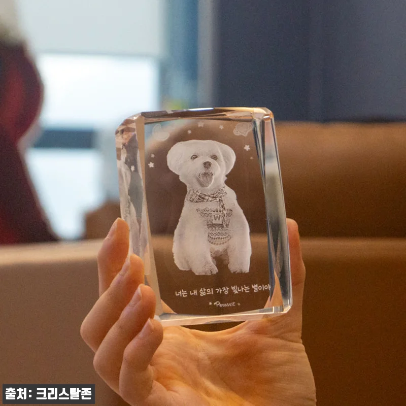 펫타스틱 가온별펫 강아지 메모리얼 스톤 사진3D각인 12 펫타스틱 가온별펫 강아지 메모리얼 스 관련 이미지 5