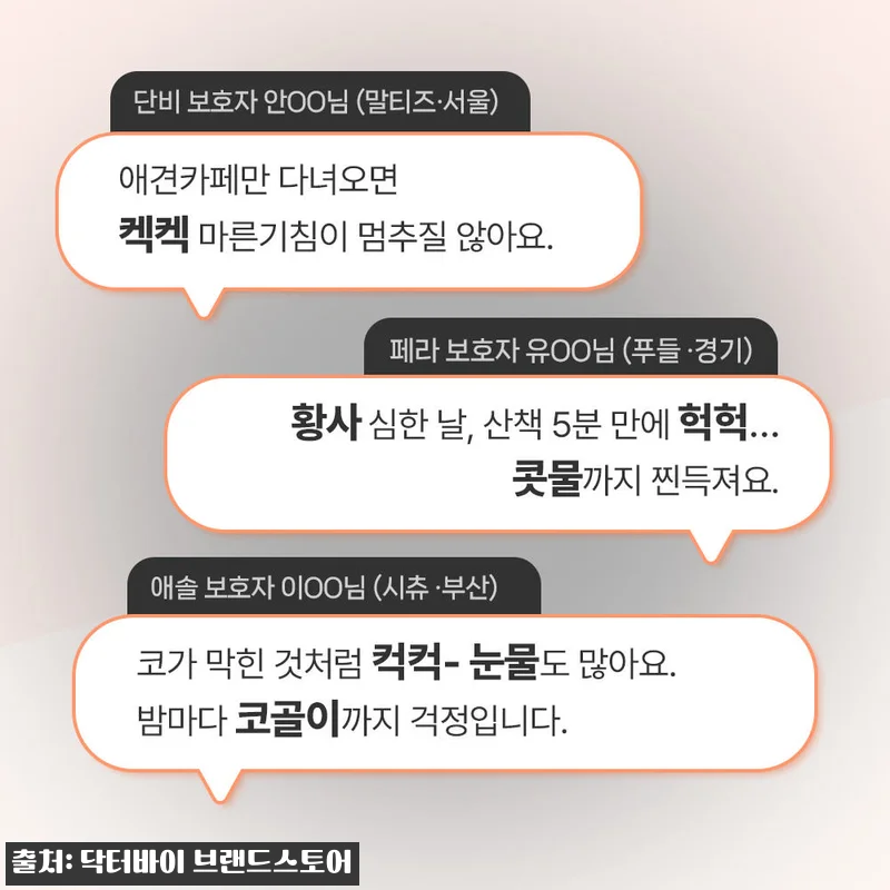 닥터바이 강아지 기관지 영양제 이뮤가 관련 이미지 7