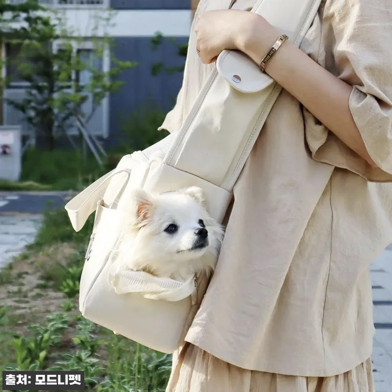 말티즈 2.8kg, 모드니펫 슬링백 관련 이미지 8
