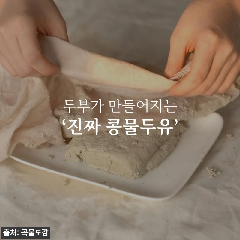곡물도감 서리태 콩물 두유 국산 무가 관련 이미지 9
