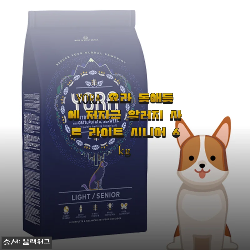 우리 댕댕이 진짜 편해졌어요 YORA 요라 동애등에 시니어 6kg 한 달 먹이고 느낀 솔직한 변화
