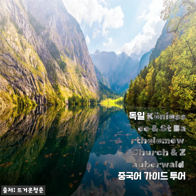 독일 쾨니히스제 & 성 바르톨로매 교회 & 마법의 숲, 중국어 가이드 투어 다녀온 진짜 후기