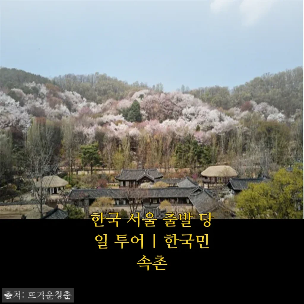 서울 출발 당일 투어 한국민속촌, 혼자 다녀온 봄나들이 솔직 후기