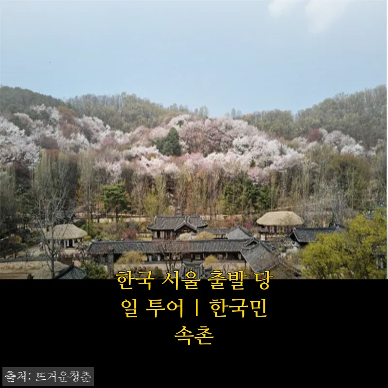 서울 출발 당일 투어 한국민속촌, 혼자 다녀온 봄나들이 솔직 후기