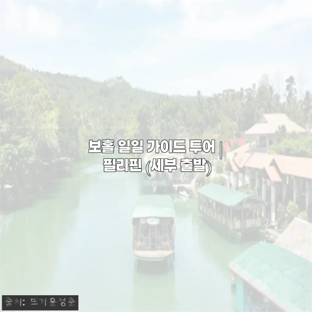 보홀 일일 가이드 투어, 세부 출발 당일치기로 알차게 즐긴 찐경험담