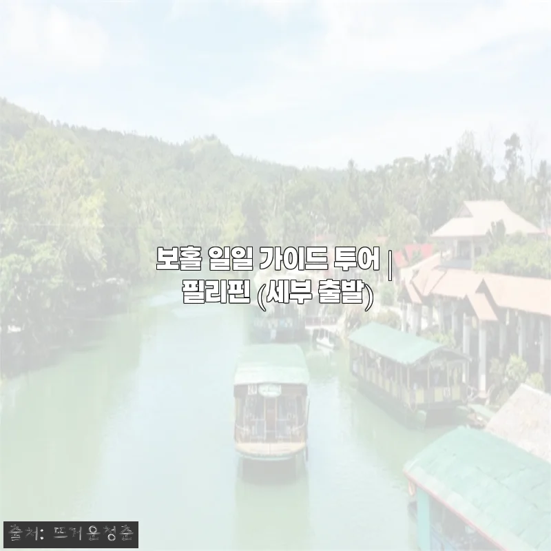 보홀 일일 가이드 투어, 세부 출발 당일치기로 알차게 즐긴 찐경험담
