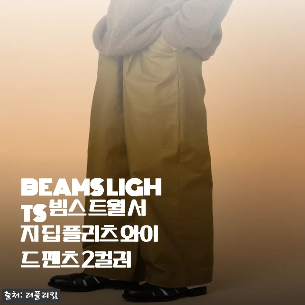 BEAMS LIGHTS 트윌 서지 딥 플리츠 와이드 팬츠, 2주간 입어보고 느낀 점