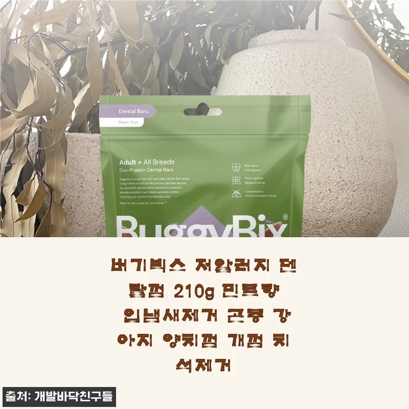 버기빅스 저알러지 덴탈껌 210g 민트향, 입냄새 걱정 끝! 우리집 알러지 강아지도 안심하고 먹인 후기