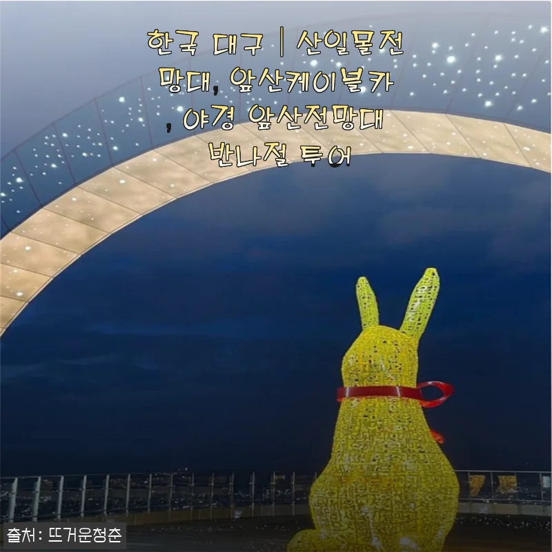 대구 반나절 투어로 산일몰전망대·앞산케이블카·야경 완전정복! 실제 예약해 다녀온 솔직한 이야기