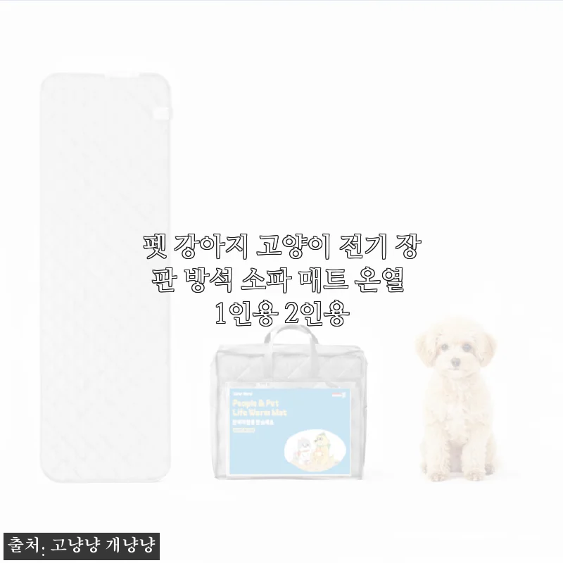 겨울밤 냥이와 함께하는 따뜻한 온열 방석 펫 전기장판 사용기