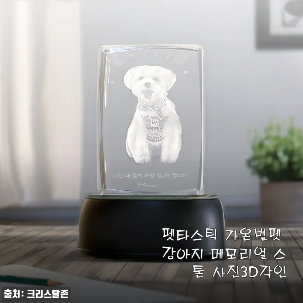펫타스틱 가온별펫 강아지 메모리얼 스톤 사진3D각인