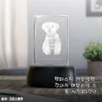 펫타스틱 가온별펫 강아지 메모리얼 스톤 사진3D각인